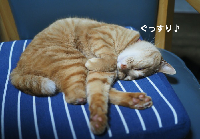 30日夕ブログ２