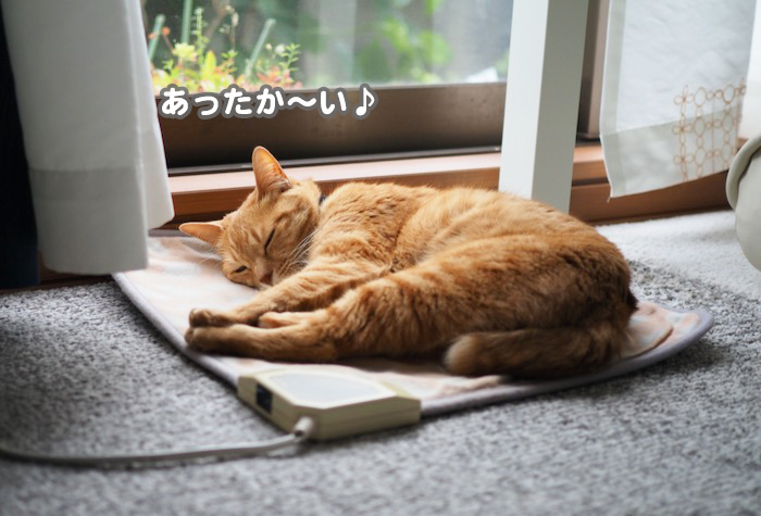 31日ブログ５