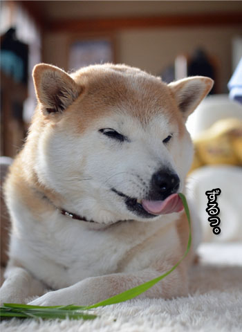 7日ブログ14.jpg