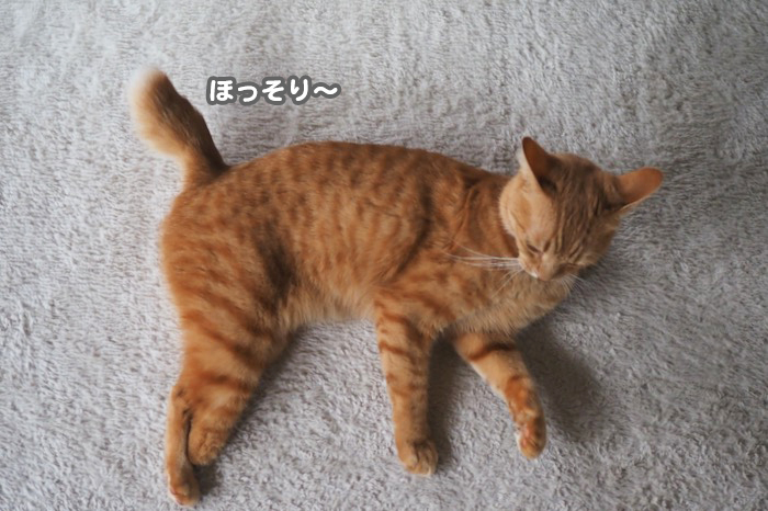 12日ブログ４