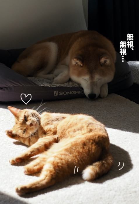 28日夕ブログ５