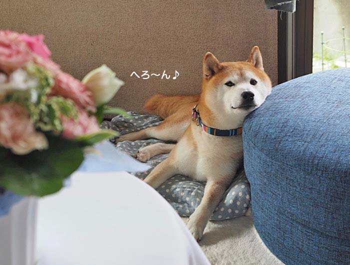 4日ブログ１
