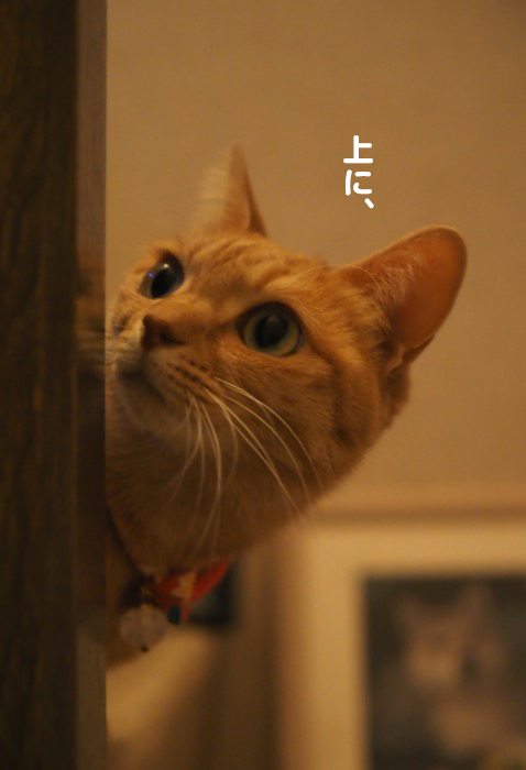 16日夕用ブログ3