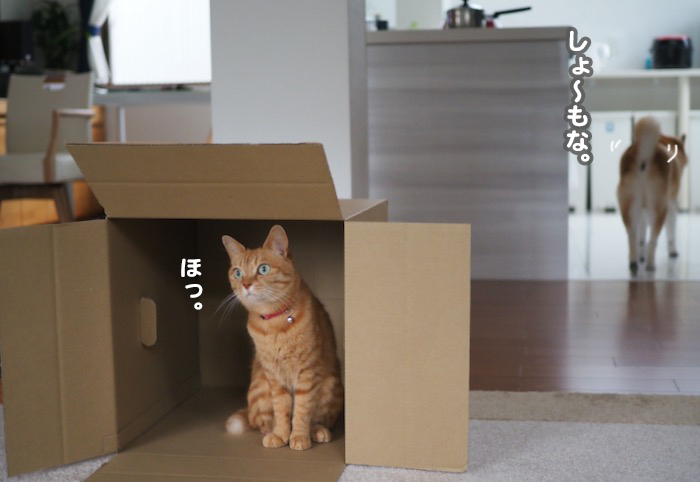 2日夕ブログ９