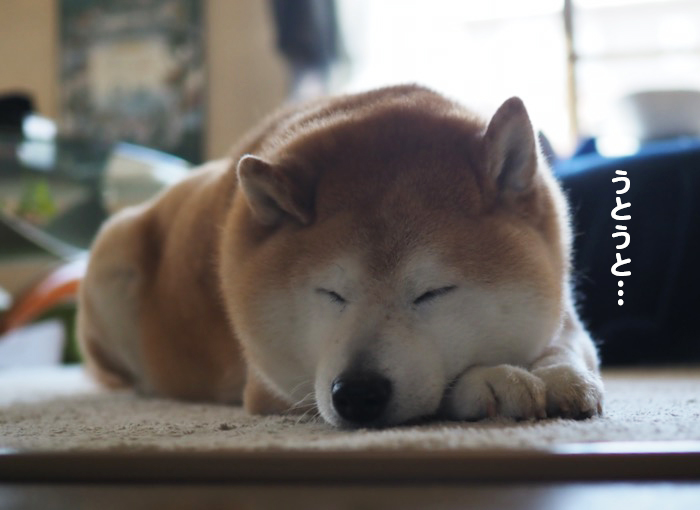 27日ブログ3