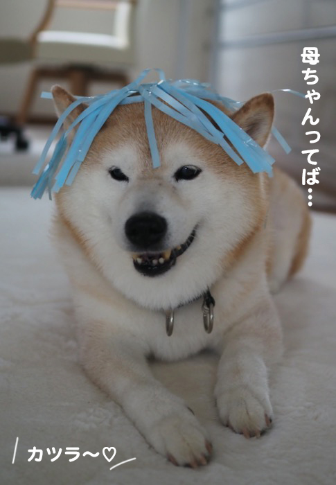 17日夕ブログ５