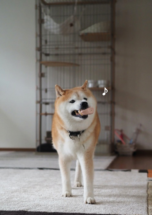 16日夕ブログ７