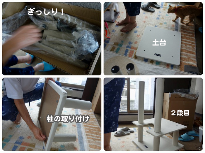 29日夕ブログ2