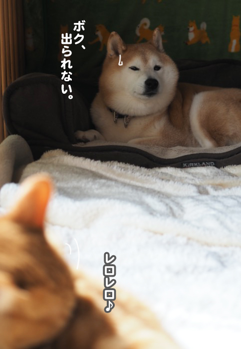 14日夕ブログ９