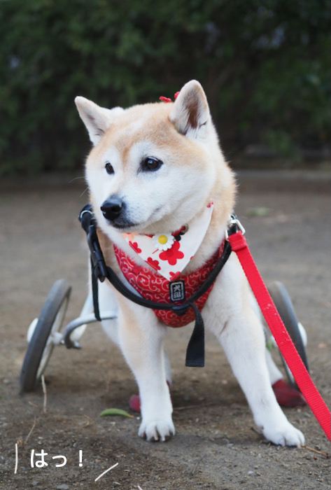 6日ブログ２