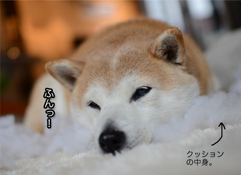 22日ブログ4.jpg