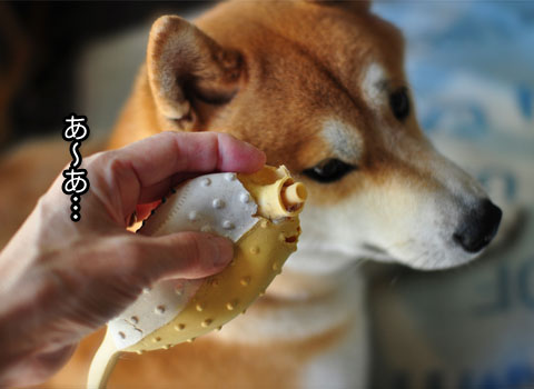 22日ブログ１０.jpg