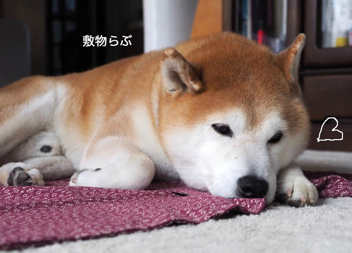 19日ブログ４