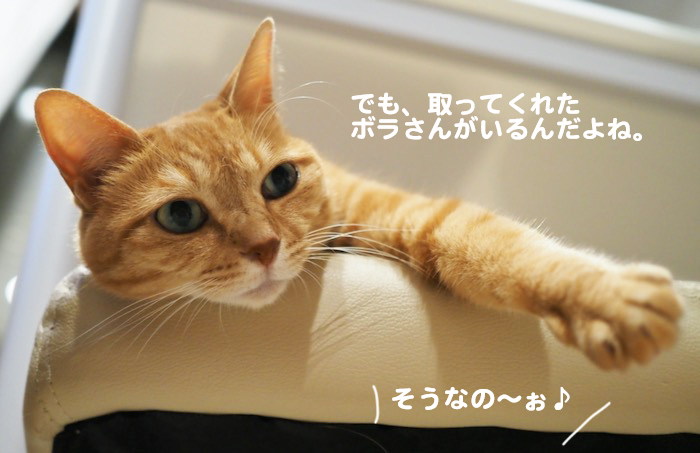 1日夕ブログ７