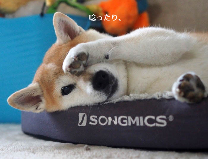 1日夕ブログ４