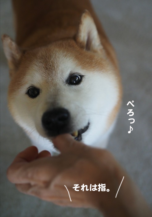 15日夕ブログ6
