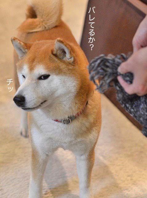 27日ブログ10