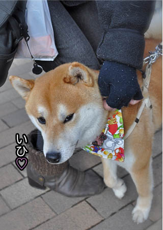 4日ブログ27.jpg
