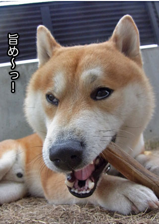11日ブログ14.jpg