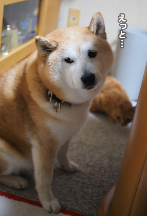 3日ブログ２