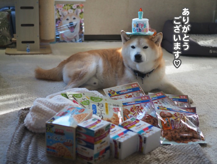 23日ブログ６