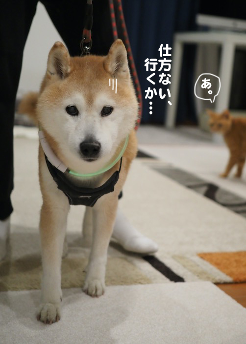 27日夜ブログ６