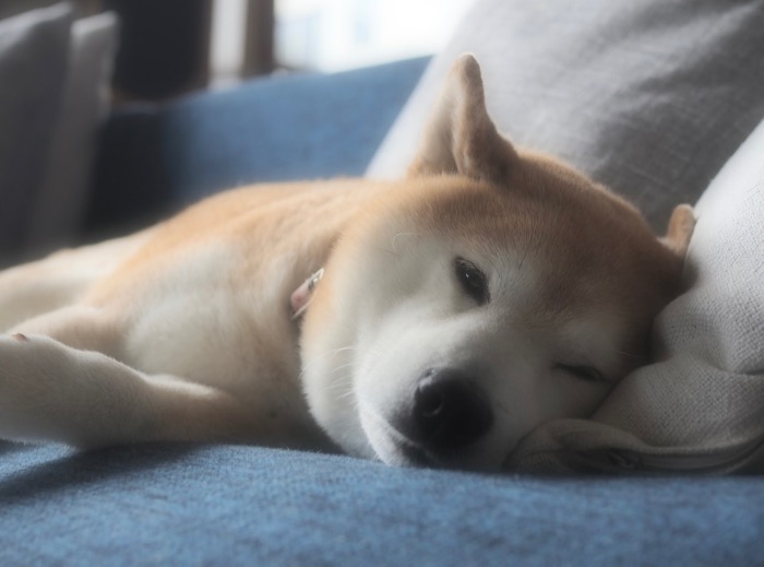 23日ブログ２