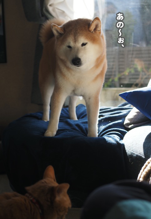 10日ブログ２