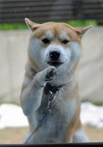 18日ブログ９.jpg