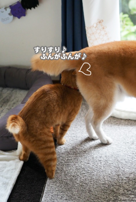 15日夕ブログ５