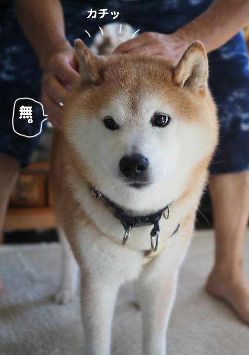 14日夕ブログ５