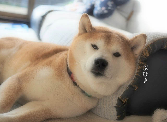 7日ブログ7