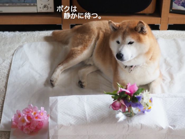 4日夜ブログ５