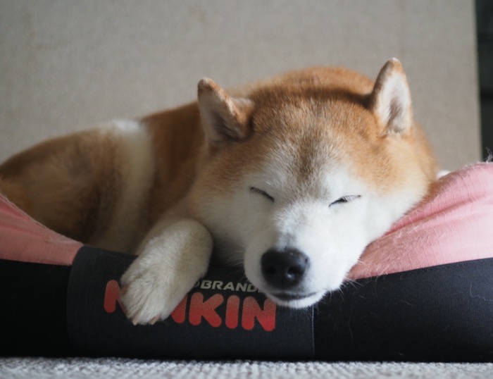 １０日ブログ６