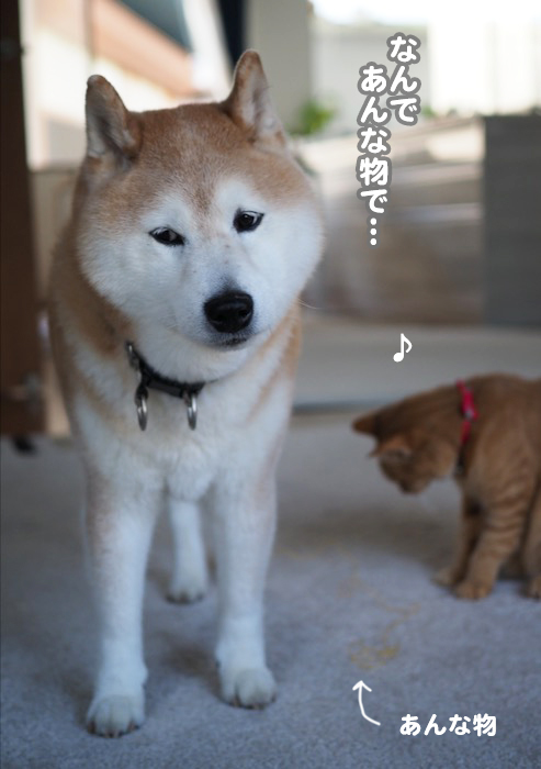 19日ブログ7