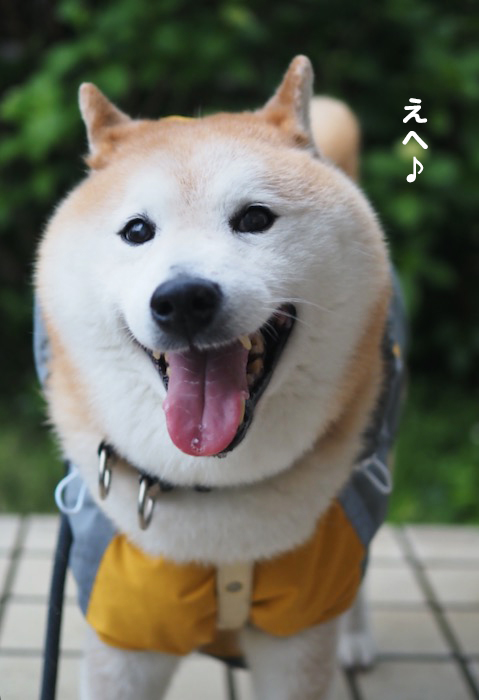 29日夕ブログ５