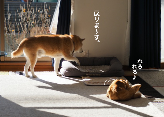 28日夕ブログ１４