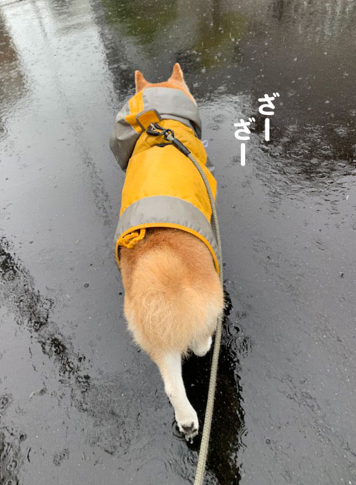10日夕ブログ３