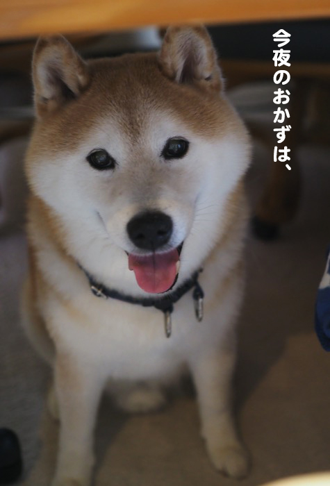 23日夕ブログ２