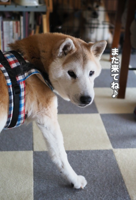 24日ブログ６