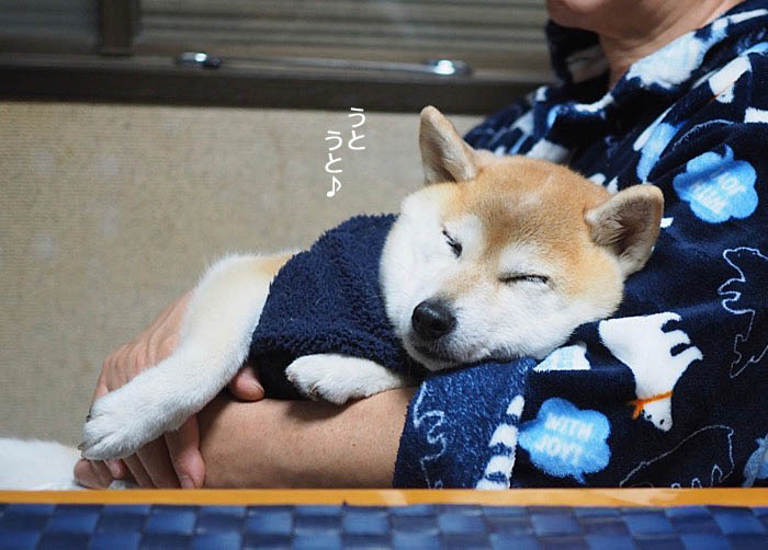 2日昼ブログ2