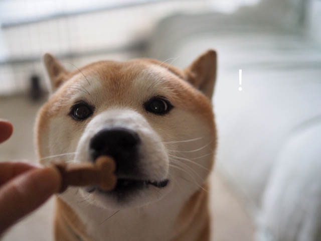 31日ブログ3