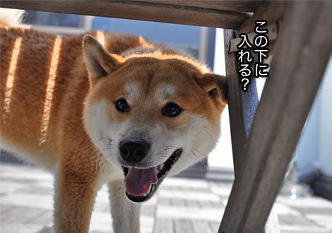 6日ブログ８.jpg