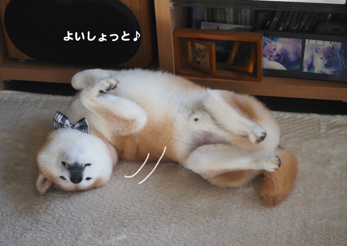 6日夕ブログ２