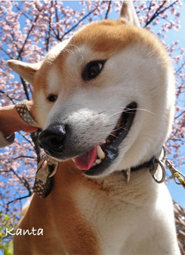 5日ブログ3.jpg