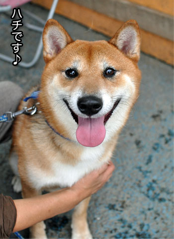 28日ブログ7.jpg