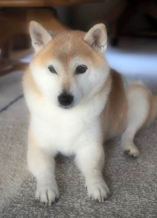 1日ブログ４