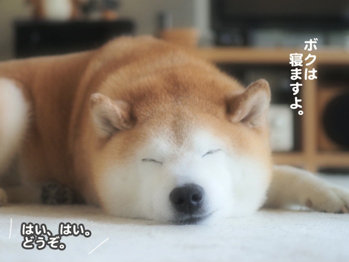 24日夕ブログ11