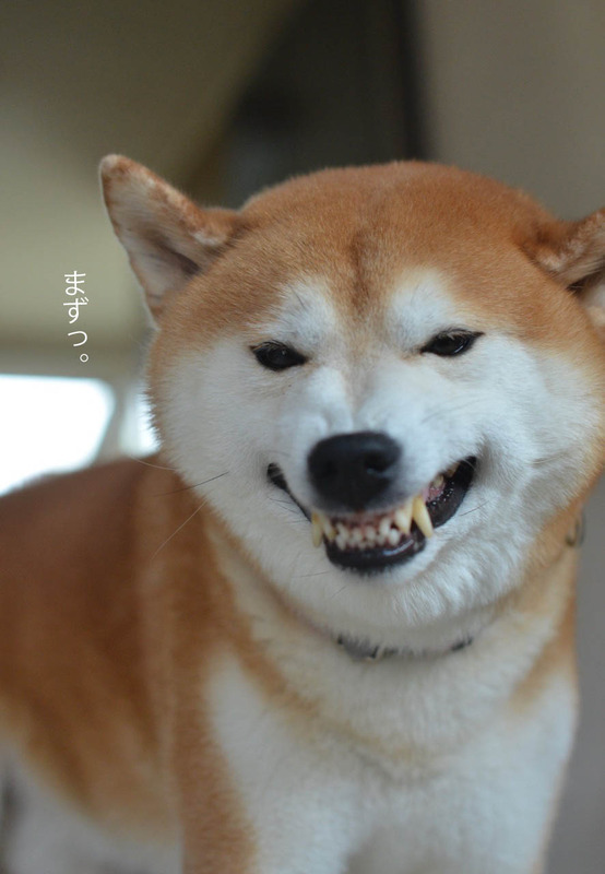 11日ブログ8