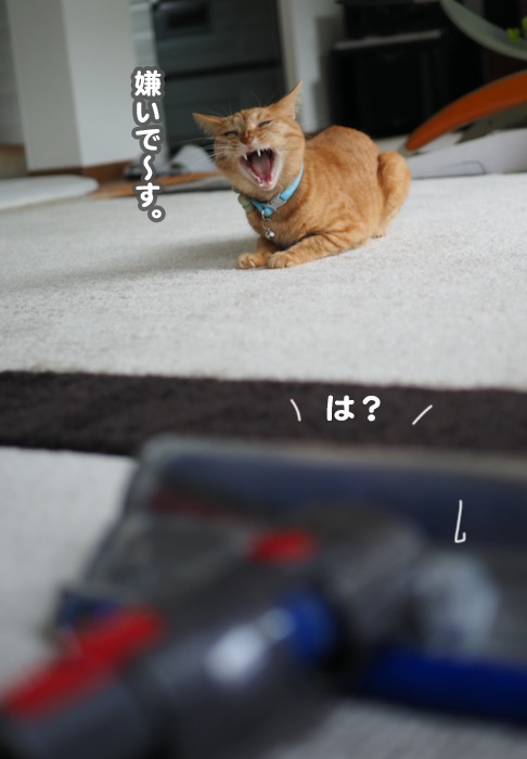 5日ブログ２